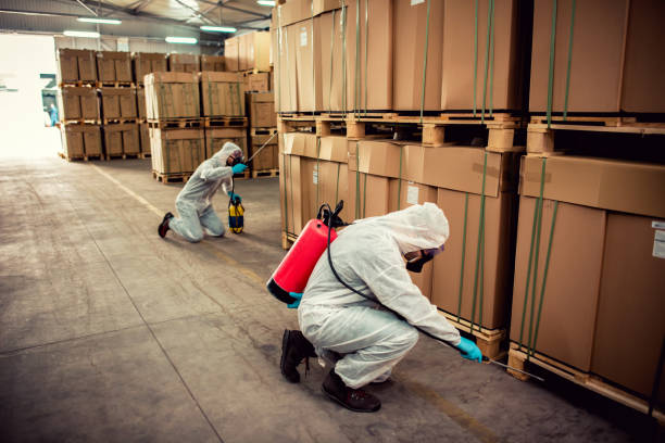 Best Cockroach Control Services  in Melcher Dallas, IA