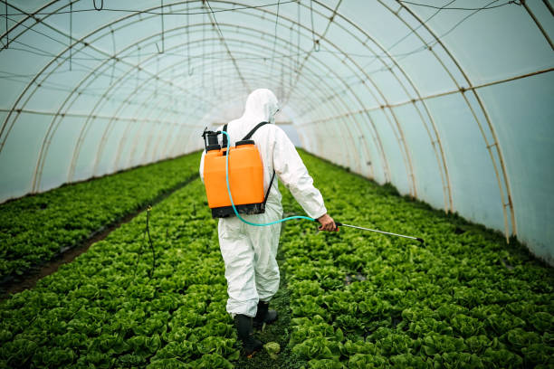 Best Pest Control Near Me  in Melcher Dallas, IA