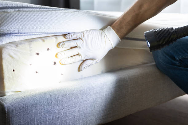 Best Best Pest Control Near Me  in Melcher Dallas, IA