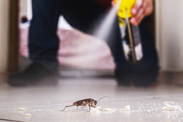 Best Bed Bug Extermination  in Melcher Dallas, IA