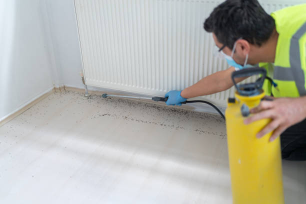 Best Mosquito Control Services  in Melcher Dallas, IA